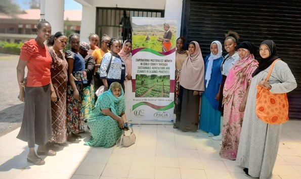 Climate action placeholder